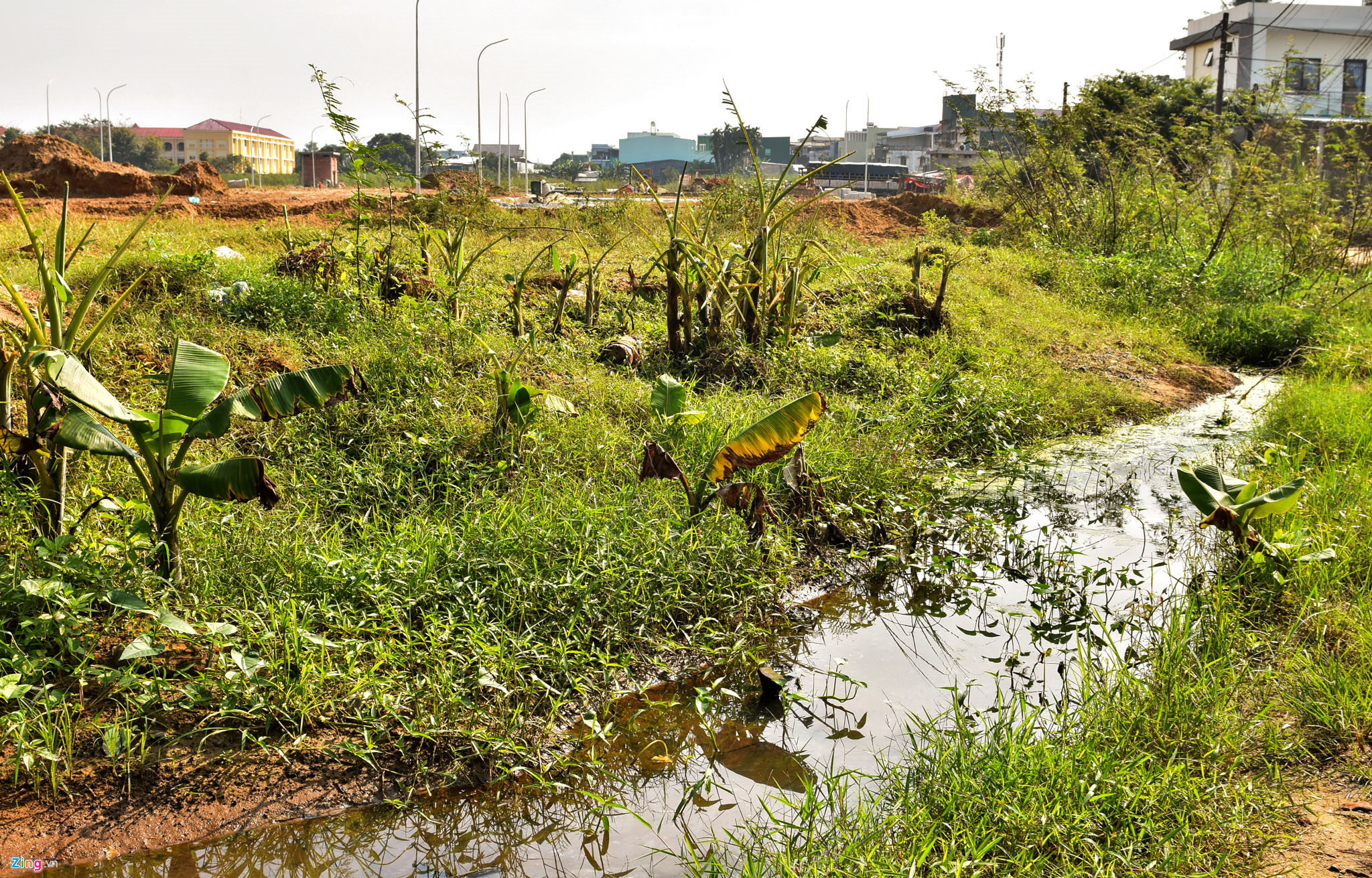 Tồn kho hàng nghìn lô đất tại các khu đô thị, dân cư